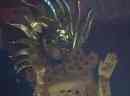 sto1904200281t.jpg